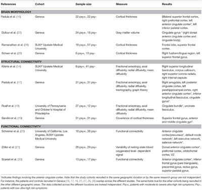A Mini Review on the Contribution of the Anterior Cingulate Cortex in the Risk of Psychosis in 22q11.2 Deletion Syndrome